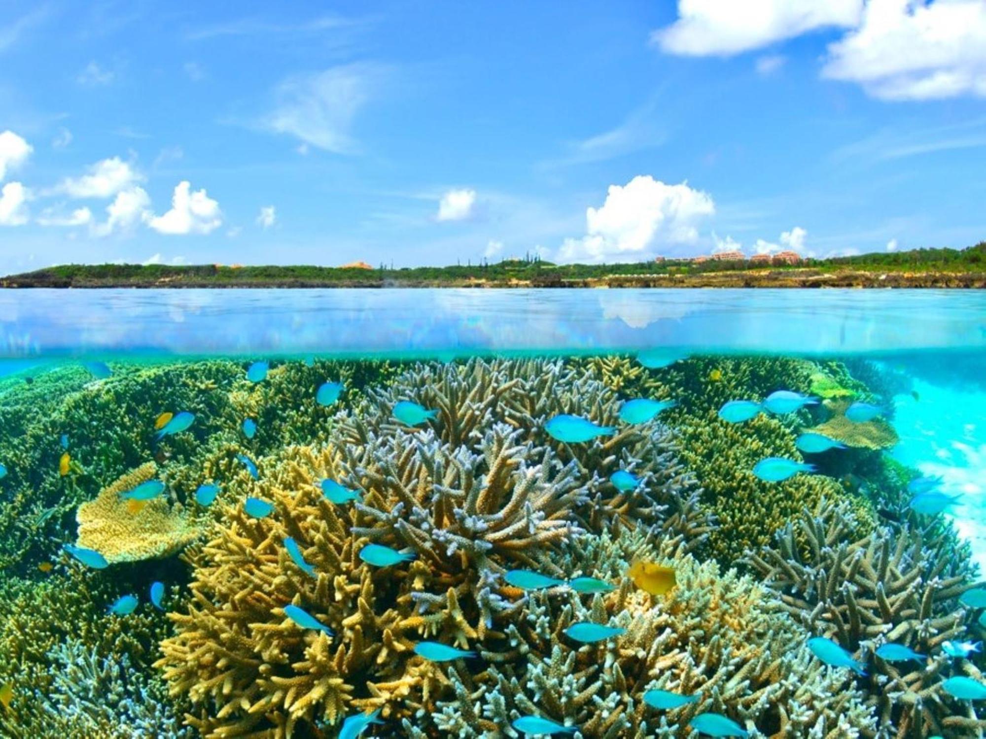 Allamanda Imgya Coral Village Miyakojima  Bagian luar foto